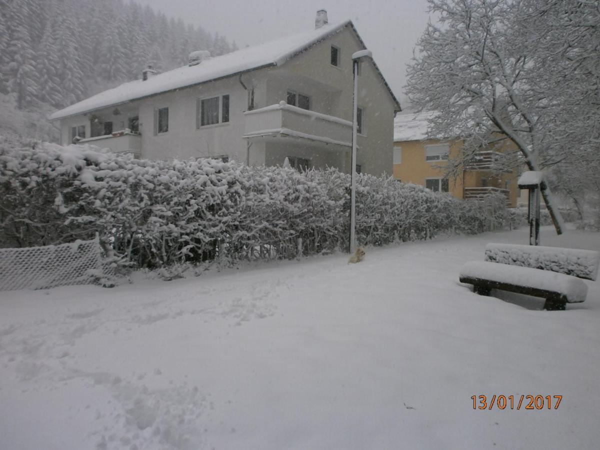 Steinatal Apartman Bad Sachsa Kültér fotó